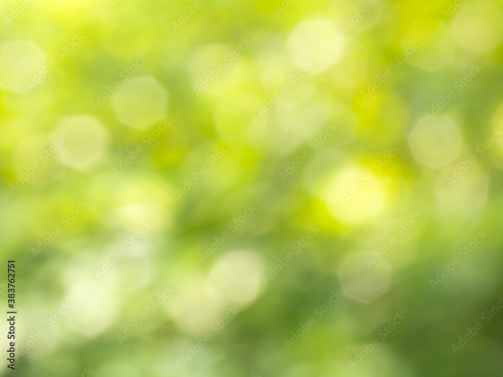 Green and yellow background image with a blurry octagonal shape