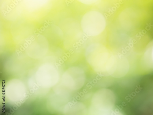 Green and yellow background image with blurred circles