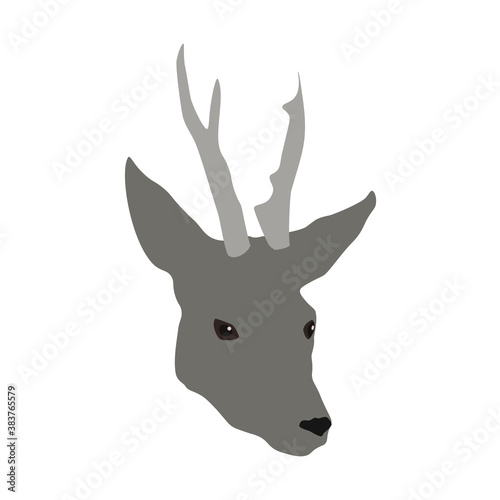 Gray horned Deer head isolated on white background, vector eps 10