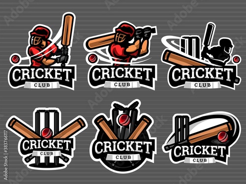 Set of cricket logos and emblems in grey colour. Cricket Vector illustration