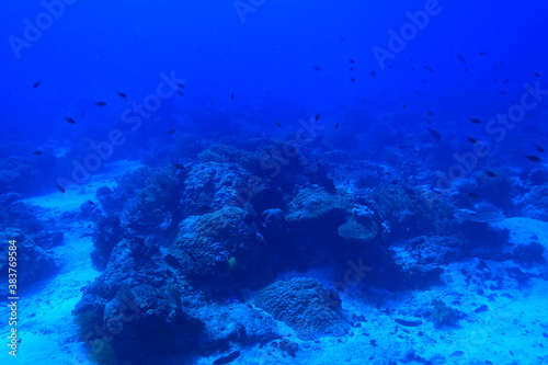 under water ocean / landscape underwater world, scene blue idyll nature © kichigin19