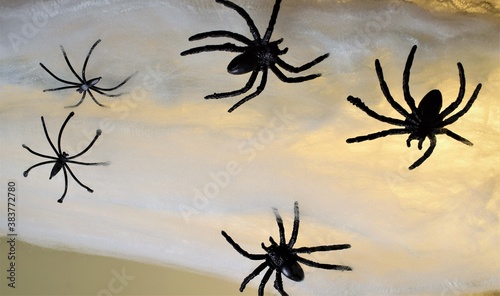 White fabric background  on it spiders  various species  panic and fear