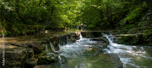 Malerischer Fluss in der Schlichemklamm bei Epfendorf im Schwarzwald, Deutschland