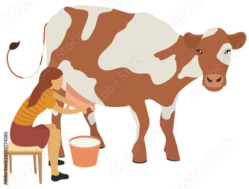Woman milks a cow illustration