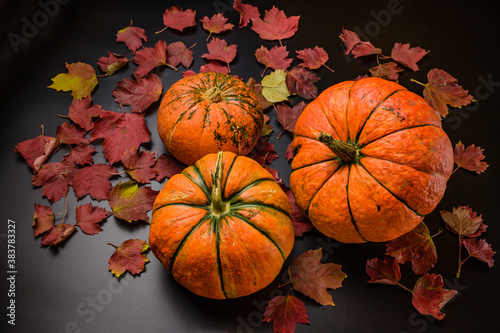 Three ripe orange pumpkins of different sizes on a black background. Beautiful autumn leaves around.