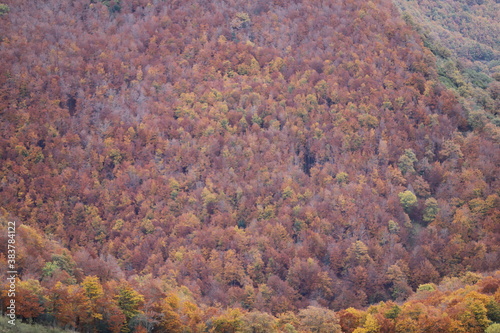 Castilla y León, León, Picos de Europa. OTOÑO, paleta de colores.