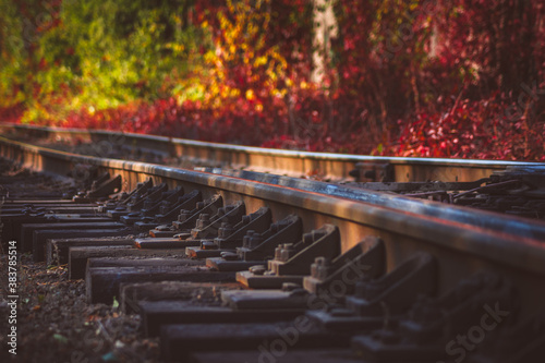 Railway in the autumn forest. The rails reflect the bright sun. Sleepers and railway fastening close-up.