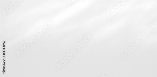 Abstract Shadow. blurred background. gray leaves that reflect concrete walls on a white wall surface for blurred backgrounds and monochrome wallpapers.