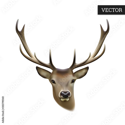 Deer head isolated on a white background. Realistic stag. Vector illustration 3D. Macro icon wild animal. Design element in natural style. Stock.