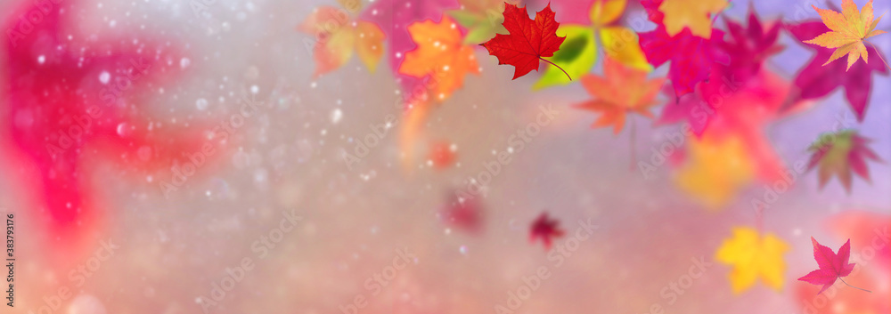 Farbenfrohes abstraktes Banner / Header Konzept Herbst- Herbstlaub fliegt vor unscharfem Hintergrund