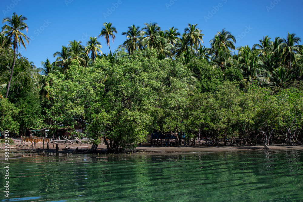 Mangrove and palm trees on the riverside of a turquoise river, Ngwesaung, Myanmar