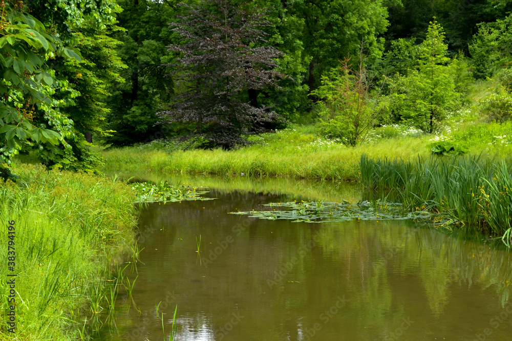 Green lake in Sofiyivsky Park - a botanical garden located in the City of Uman, Ukraine, near the Kamianka River. Green lake in Sofiyivsky Park - a botanical garden located in the City of Uman, Ukraine, near the Kamianka River.