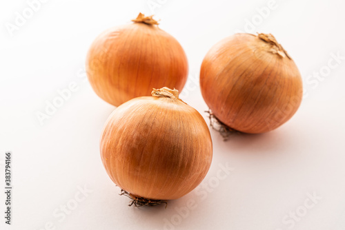 Wallpaper Mural タマネギ Torontodigital.ca