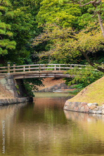 日本庭園の池に架かる木の橋