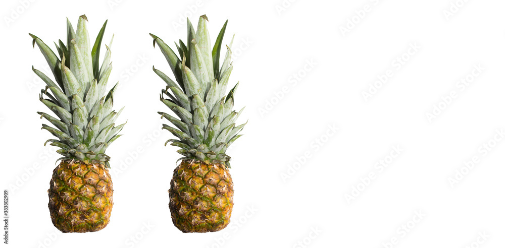 pattern. pineapples on a white background. juicy tropical fruit. minimalistic style
