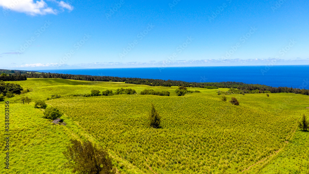 Aerial  of the ranch by the sea on Big Island, Hawaii