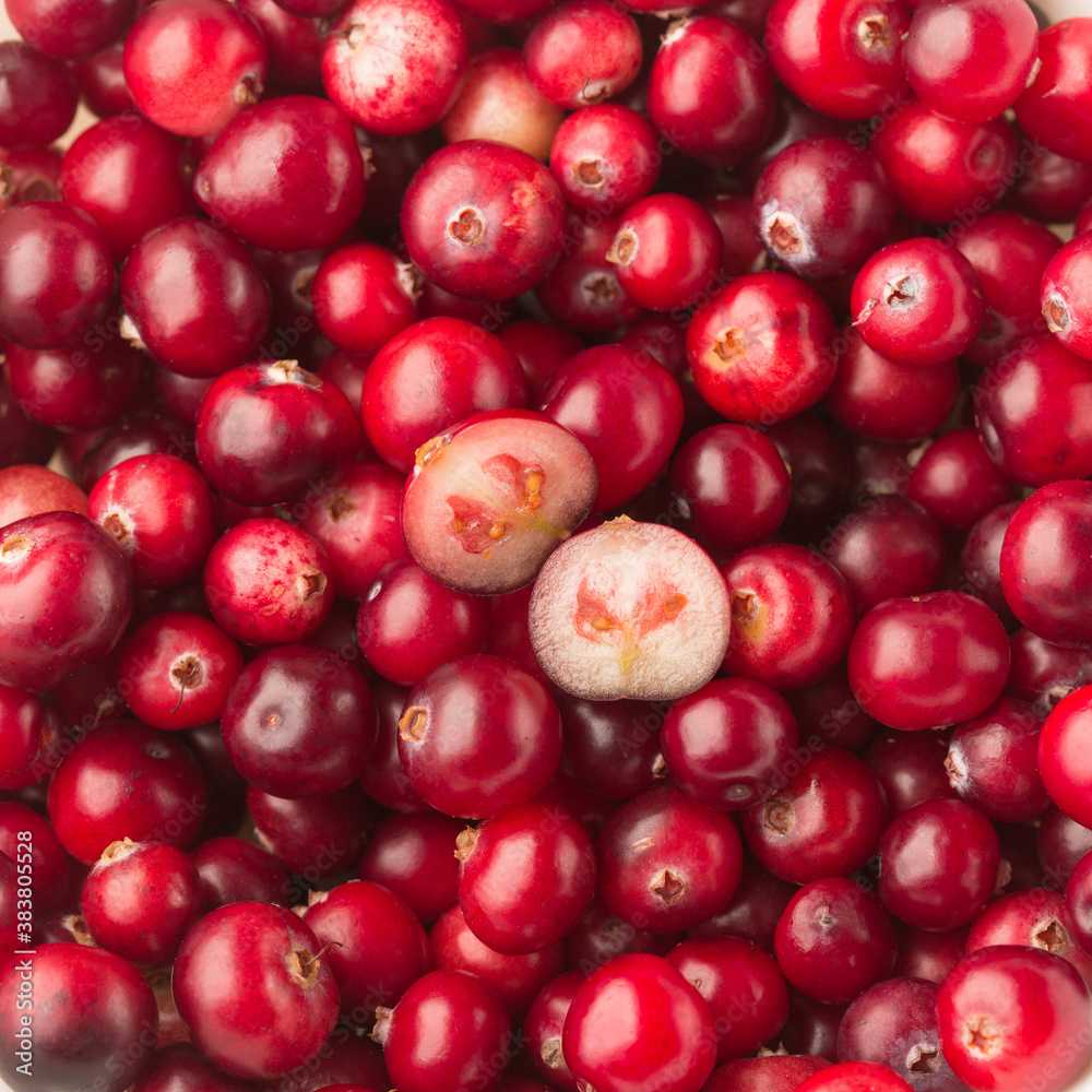 Cranberries, wild berries. Cranberry background. Wild berry of cranberries. Cranberries, wild berries. Cranberry background. Wild berry of cranberries.