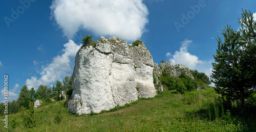 Wapienne skały. Jura Krakowsko-Częstochowska. Park krajobrazowy Dolinki Krakowskie. Panorama. photo