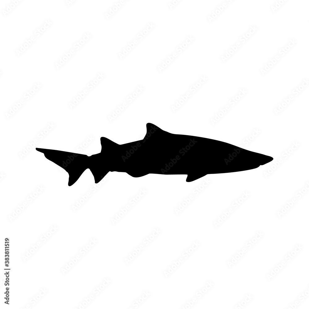 Obraz premium Shark Black silhouette. Icon, sign or logo. Sea predator symbol. Flat vector illustration. EPS10.