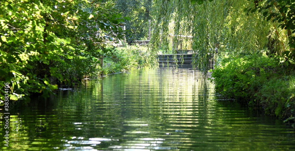 Grüne Idylle tief im Spreewald Grüne Idylle tief im Spreewald