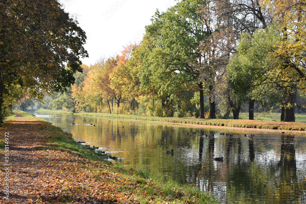 autumn in the park