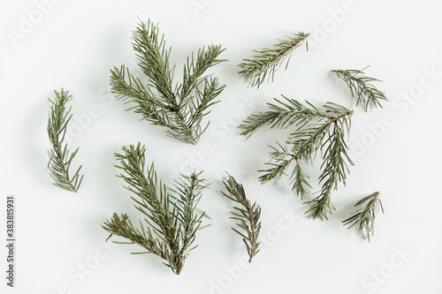Fir pine branches. Christmas tree on the white background. Flat lay  mockup. Minimalist Scandinavian style