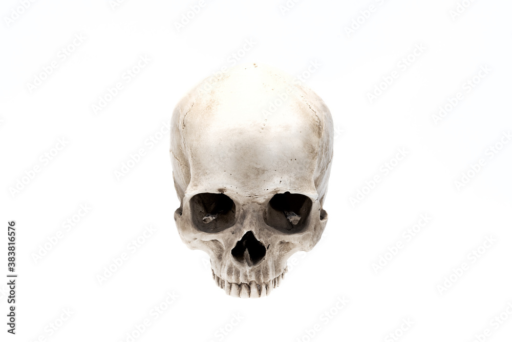 Obraz premium Front view of human skull isolated on white. Symbol of horror and death. Clipping path