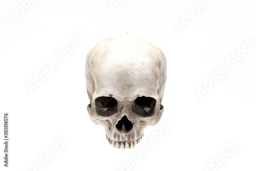 Front view of human skull isolated on white. Symbol of horror and death. Clipping path