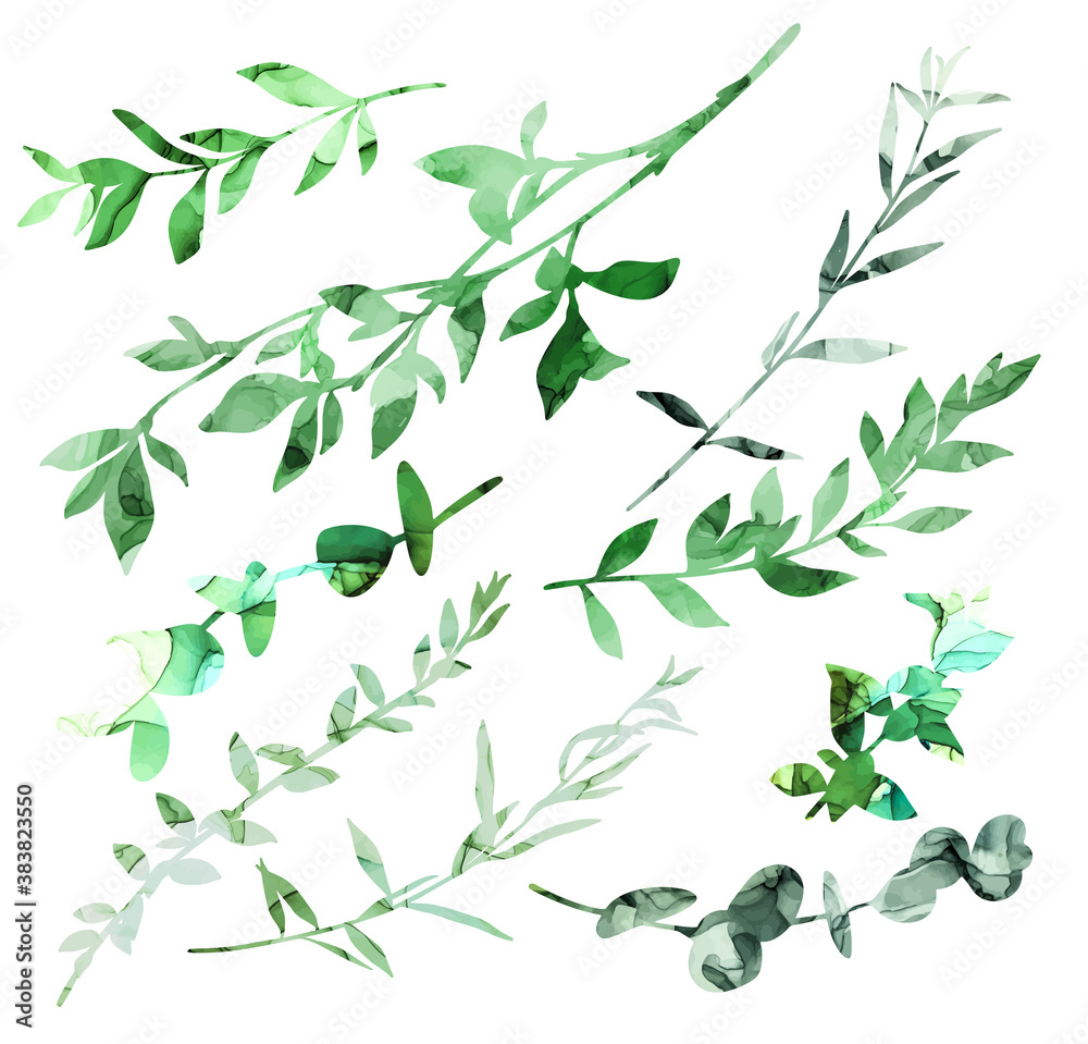 Set of different branches with ink texture Set of different branches with ink texture