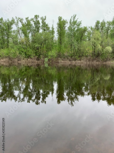 reflection of trees in the water