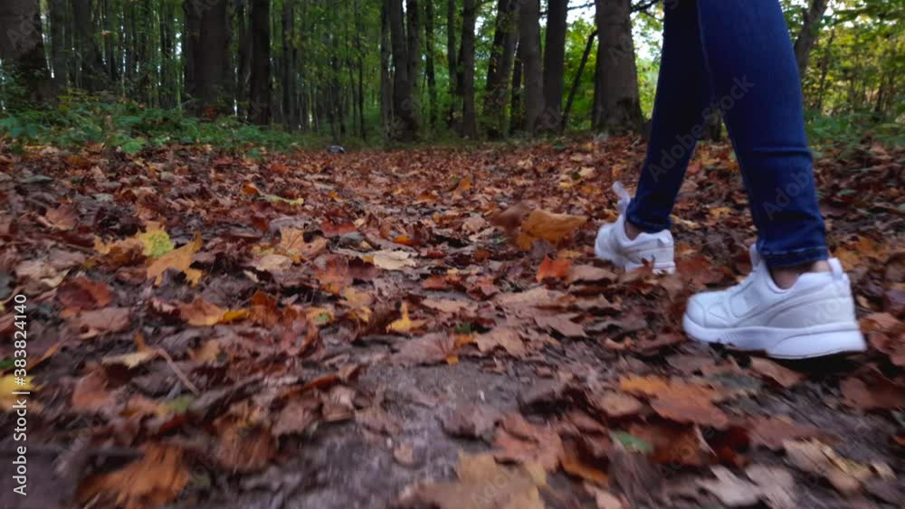 low viewing angle: an unrecognizable female tourist walks along an empty forest path on a Sunny autumn day. Unrecognizable fit, lean woman going for a relaxing walk in the woods. low viewing angle: an unrecognizable female tourist walks along an empty forest path on a Sunny autumn day. Unrecognizable fit, lean woman going for a relaxing walk in the woods.