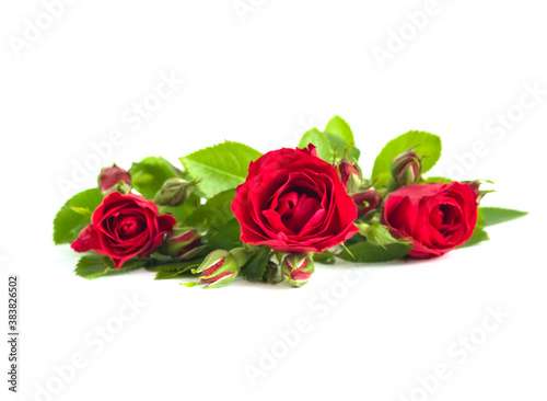 Three red roses bouquet isolated on white