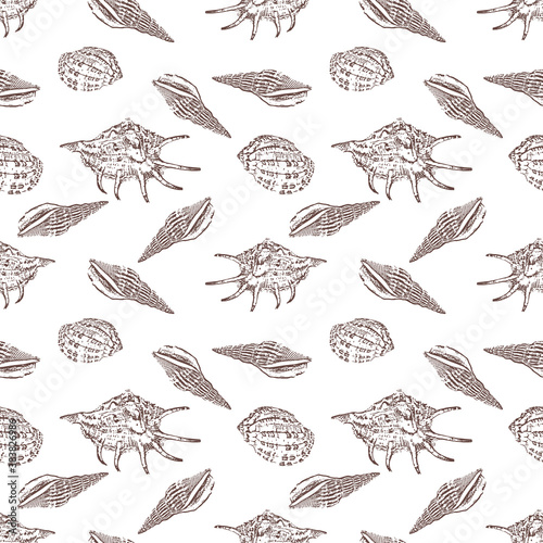 Doodle shellfish seamless pattern isolated on white. Hand drawing sketch, Vector stock illustration. EPS 10