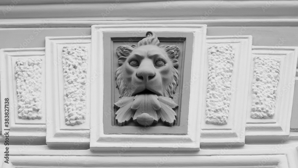 Obraz premium Close up to the bas-relief gypsum sculpture of the lion head at the outside building wall. Amazing traditional renaissance decoration.