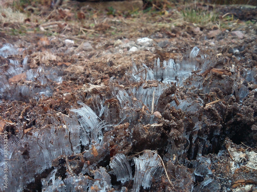 Obraz premium ice needles cut through the ground - Ледяные иглы вырывающиеся из недр земли