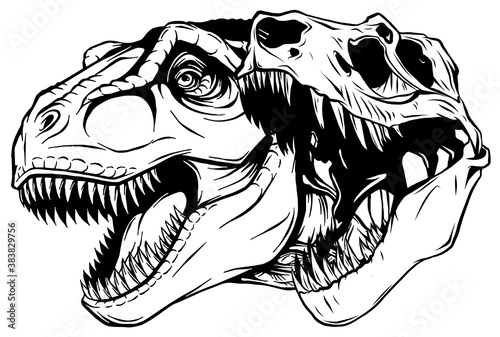 Tyrannosaurus rex skull fossil vector illustration design