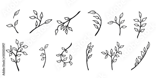 Set with vector branches and leaves. Hand drawn decorative elements.