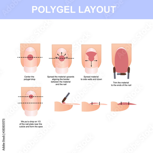 Polygel layout on the nail, step by step guide, vector illustration