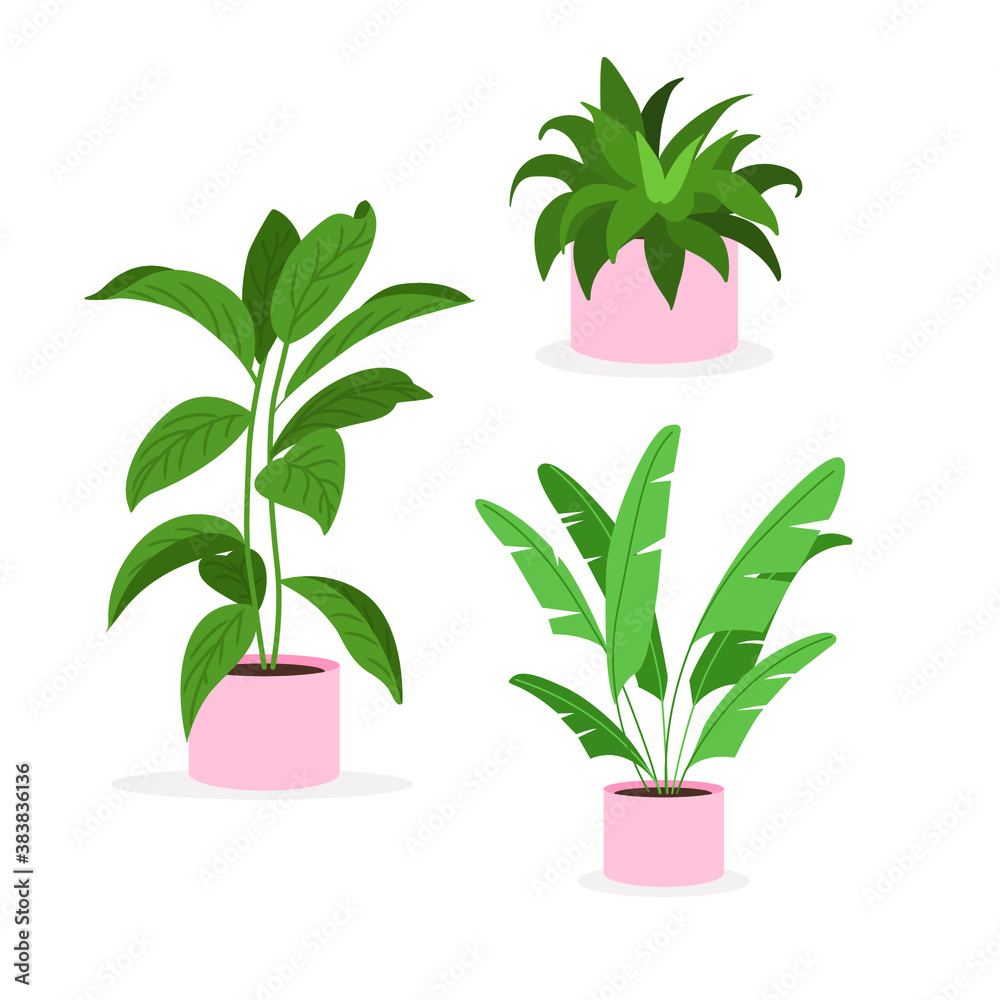 green plant flat illustration vector green plant flat illustration vector