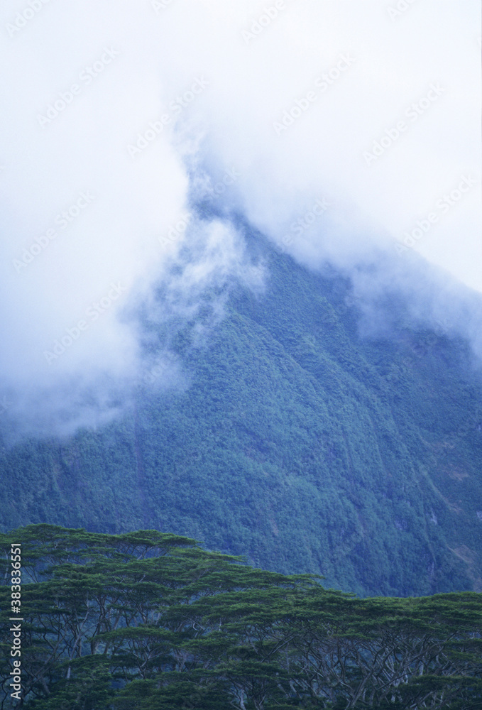 Obraz premium モーレア島の山肌