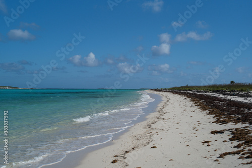 beach and sea