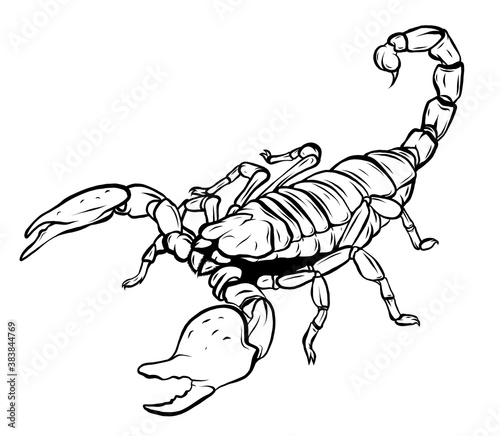 Mascot icon illustration of a scorpion, a predatory arachnid of the order Scorpiones