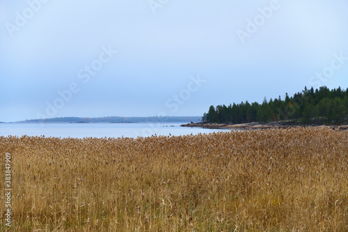 Coastline of the White Sea in Karelia  Russia
