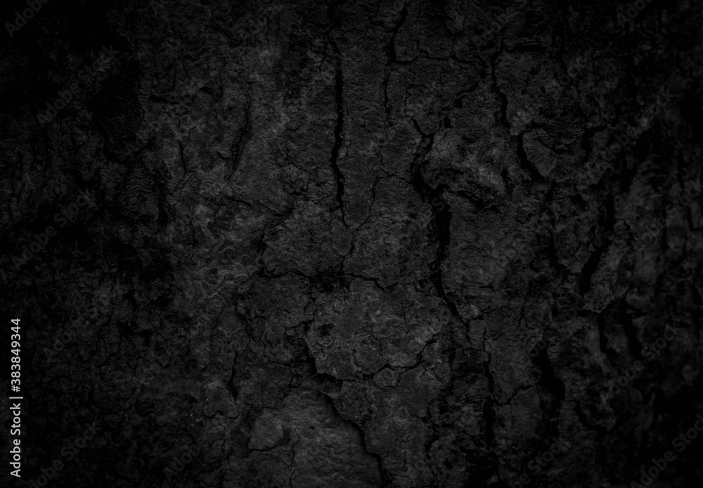 Fototapeta premium Black tree bark background Natural beautiful old tree bark texture According to the age of the tree with beautiful bark during the summer