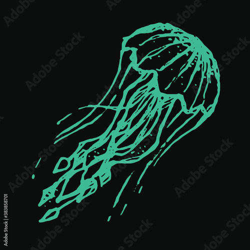 Thin jellyfish with long antennae