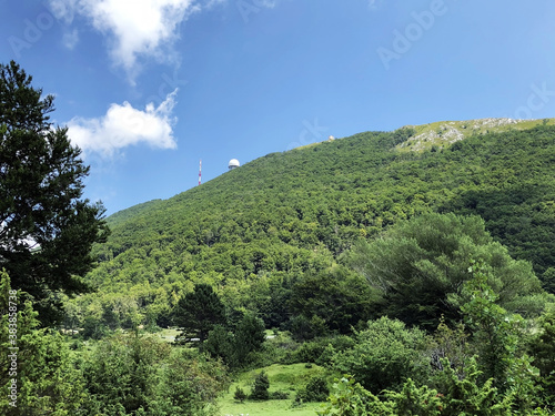 Trees and vegetation in a mixed forest in the area of the Ucka Nature Park, Croatia / Drveće i raslinje u mješovitoj šumi na području parka prirode Učka, Hrvatska photo