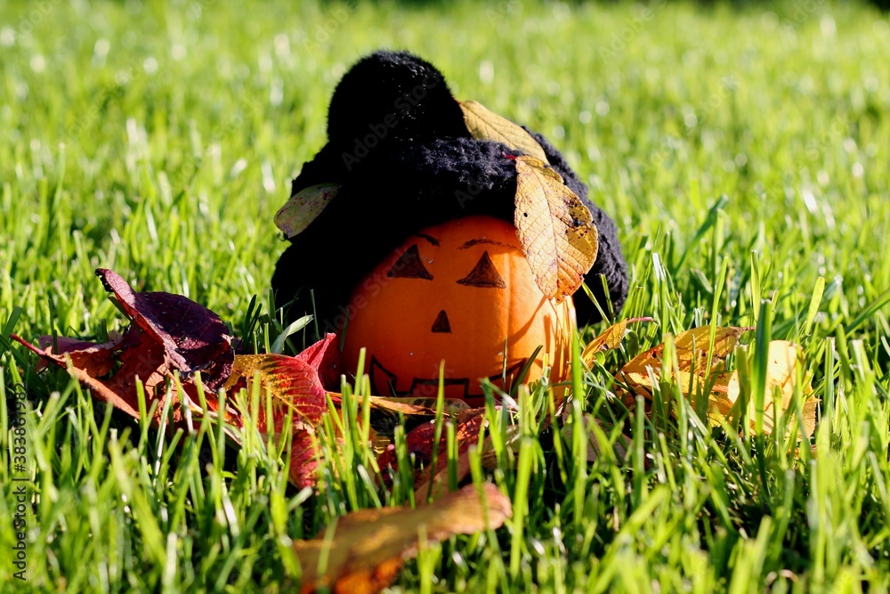 custom made wallpaper toronto digitalhalloween pumpkin in grass