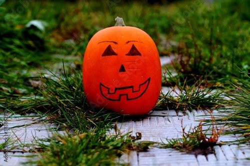 Wallpaper Mural halloween jack o lantern Torontodigital.ca