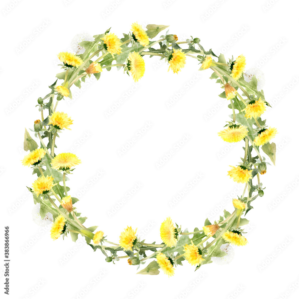 Watercolor flower arrangement, frame of yellow dandelion flowers Watercolor flower arrangement, frame of yellow dandelion flowers