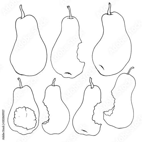 a set of pear sketches. Hand-drawn illustration of fruit isolated on a white background. collection of pears simple doodles black outline on a white background bitten and whole for a template backgrou